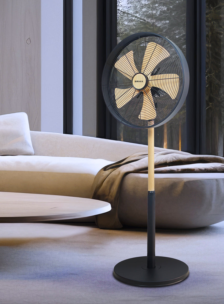 Electric Fan