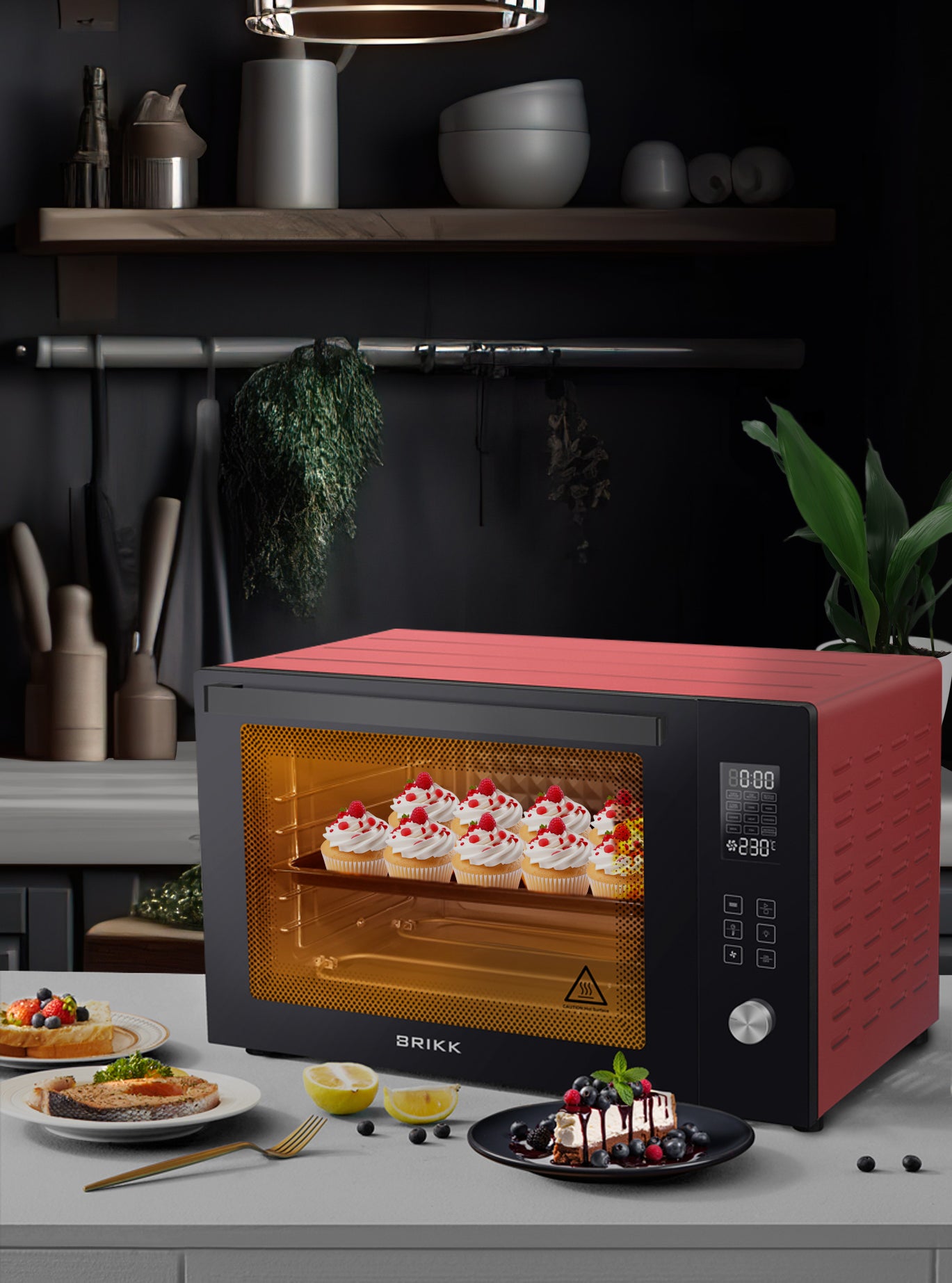 Electric Oven