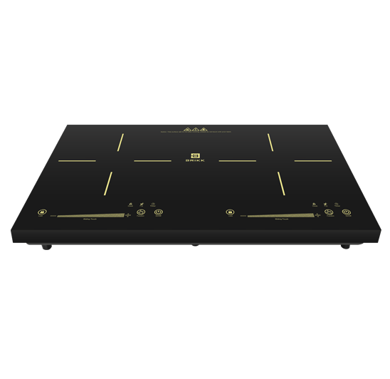 Double Induction Cooker